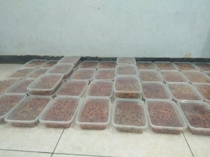 Thinwall Persegi Panjang(rectangle) 500ml/tempat Salad/box Nasi