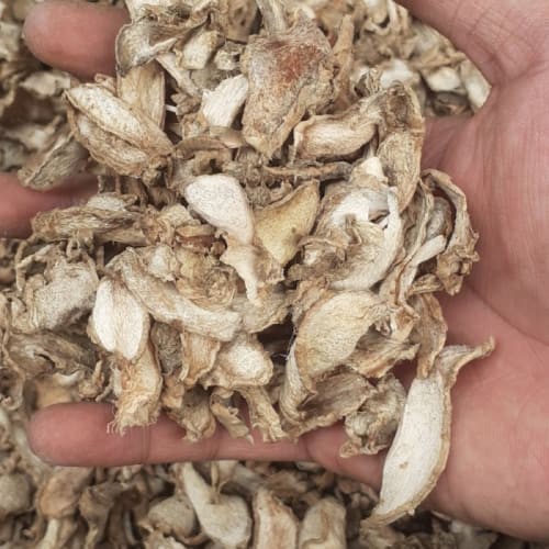 

Jahe Putih Kualitas Bagus Jahe Emprit Gajah Kering Obat Herbal 500g