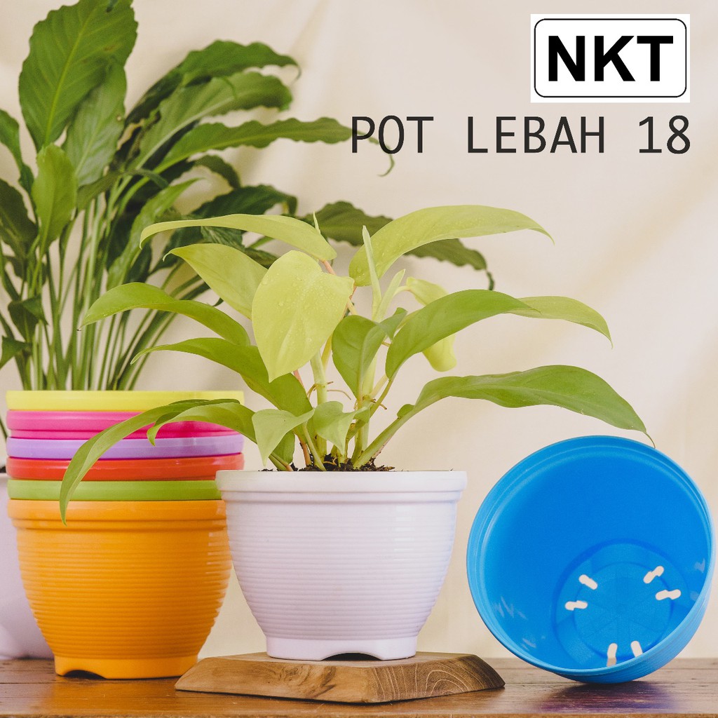 POT BUNGA 18 LEBAH  WARNA  WARNI POT NKT Shopee Indonesia