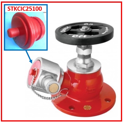 tutup instantaneous coupling 2,5 inchi SAITEKI instantaneous plug