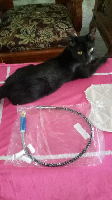 Selang Pompa Pcp / Gx / Bull 50cm Drat Luar M10x1