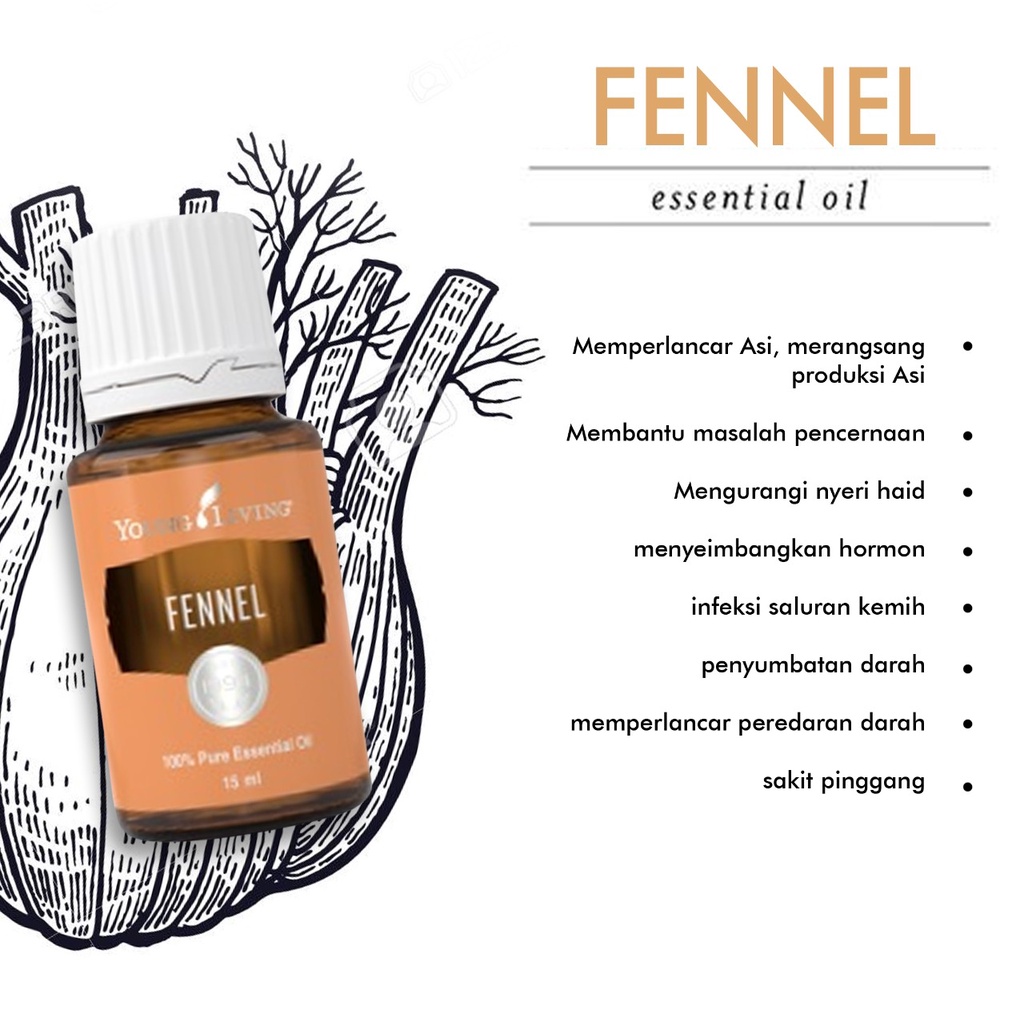 YOUNG LIVING ESSENTIAL OIL | FENNEL 15 ML