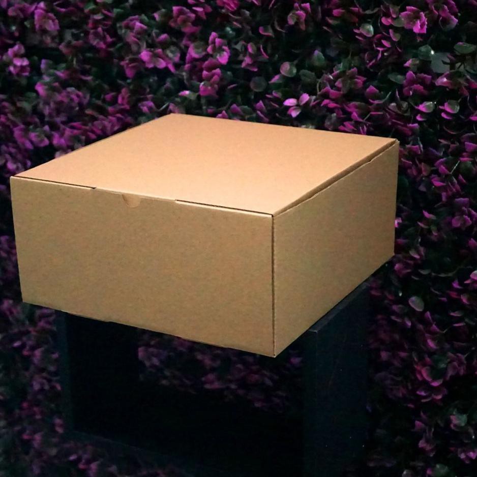 

#TERMURAH# Kotak Packaging Polos Tinggi 25 x 25 x 12 cm - Pizza Box - Bentuk Kotak