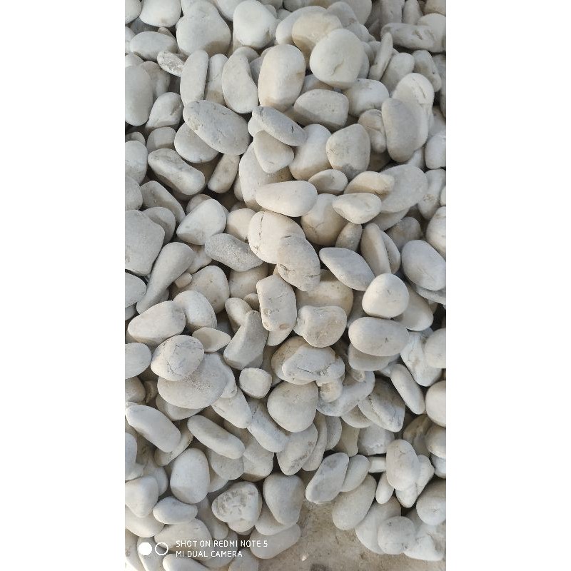 batu koral putih , batu Kupang putih ,batu tabur taman minimalis 12kg (25.000)