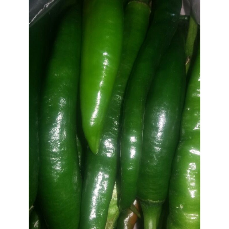

Cabai hijau 250 gr
