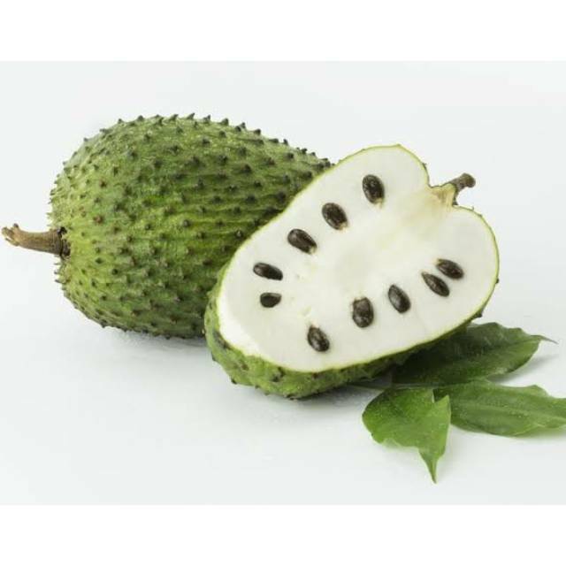 

Buah sirsak organik fresh baru petik