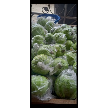 

Jambu kristal fresh