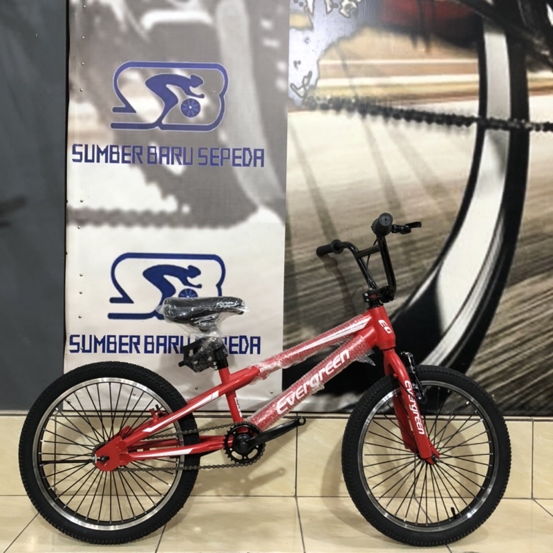 SEPEDA BMX EVERGREEN F3 CLASSIC TORPEDO 20 INCH ROTOR