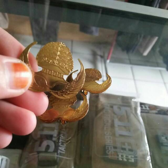 Pin PNS