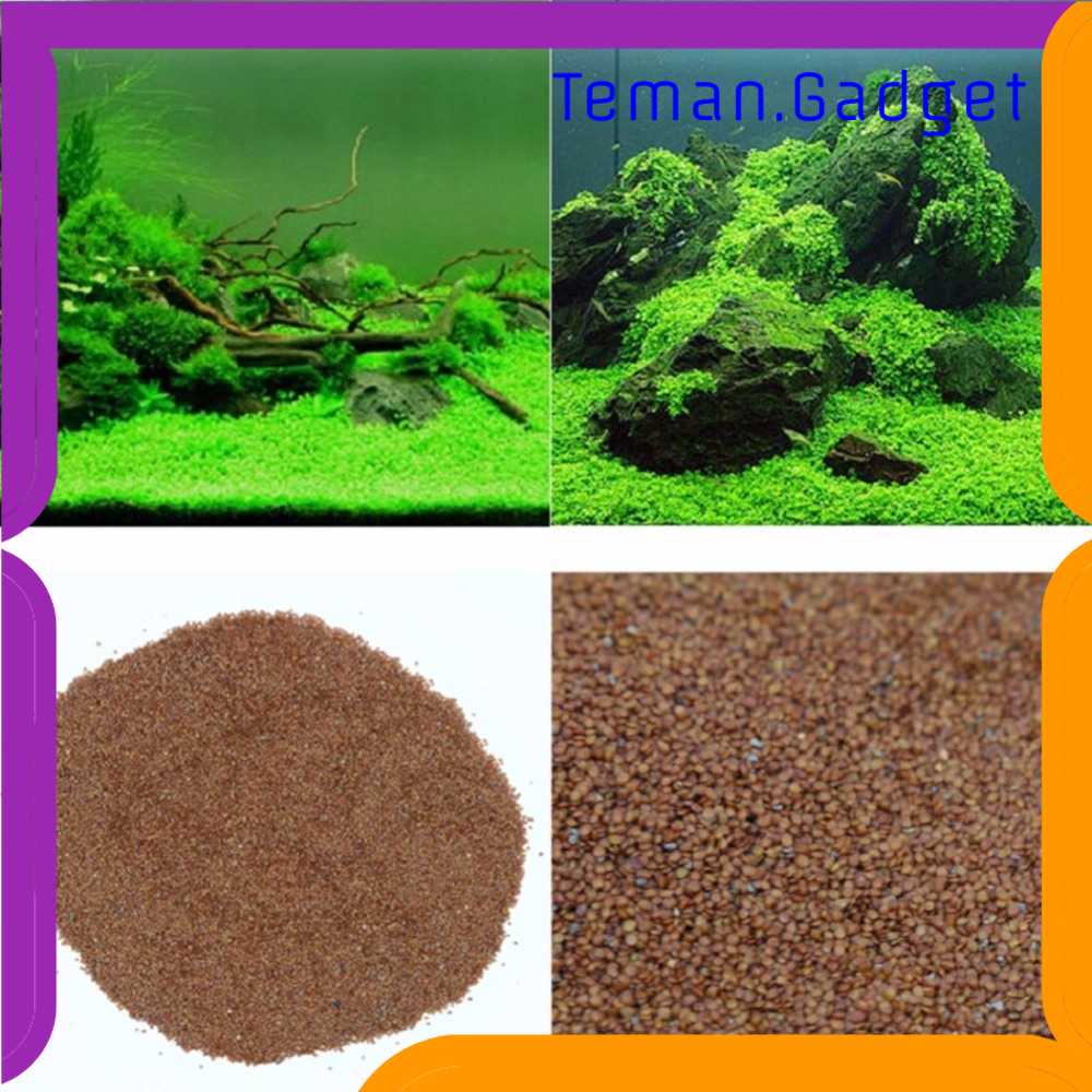 TG-DH Bibit Rumput Air Dekorasi Aquarium Landscape Ornament - H0027