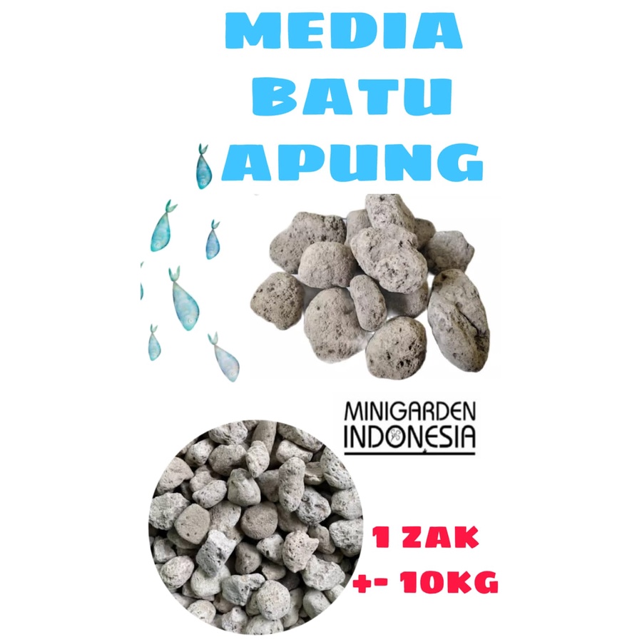 BATU APUNG ZAK KARUNG 10 KG media filter aquarium kolam media tanam pumice stone aquascape bonsai