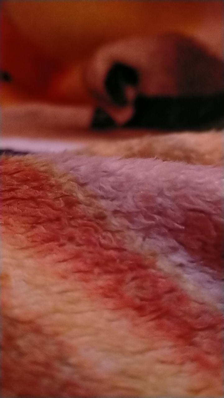 Termurah Bisa Pisah-couple Keluarga/ Couple Batik Keluarga/batik 2525/couple Batik Anak/couple 2525