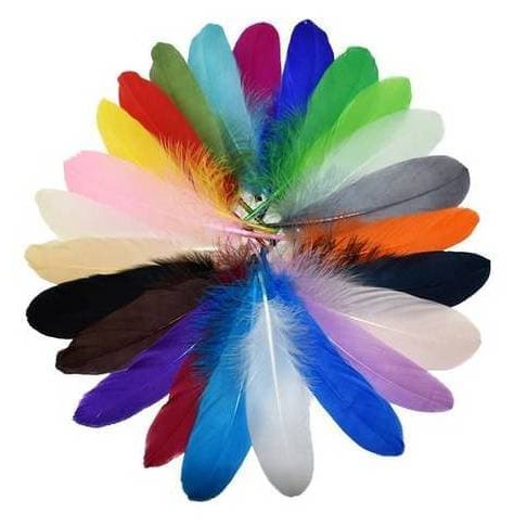 Goose Feather 15-20cm