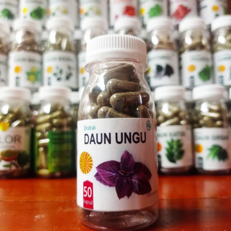 

Daun ungu kapsul herbal obat ambeien wasir bab darah
