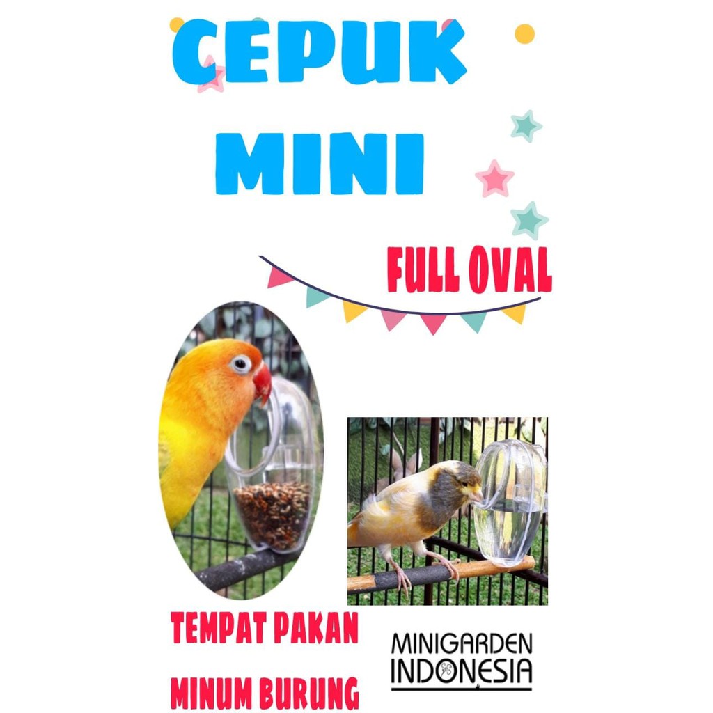 CEPUK MINI TEMPAT PAKAN MINUM BURUNG wadah makanan lovebird murai plastik mika transparant