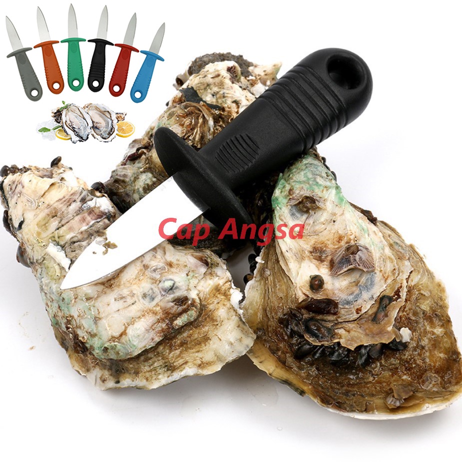 OYSTER KNIFE PISAU PEMBUKA TIRAM KERANG SHELL FISH CUNGKIL CANGKANG CONGKEL SHUCK KNIFE