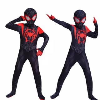Costume du spiderverse