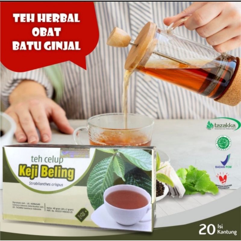 

Teh Celup Herbal Keji Beling | Mengobati Batu Ginjal