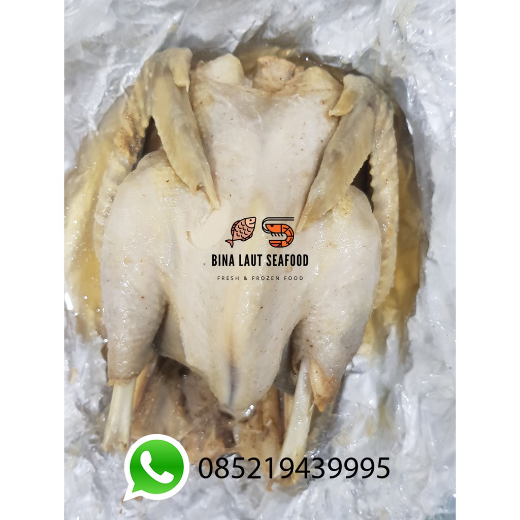 

AYAM GARAM SATU EKOR 1 KG