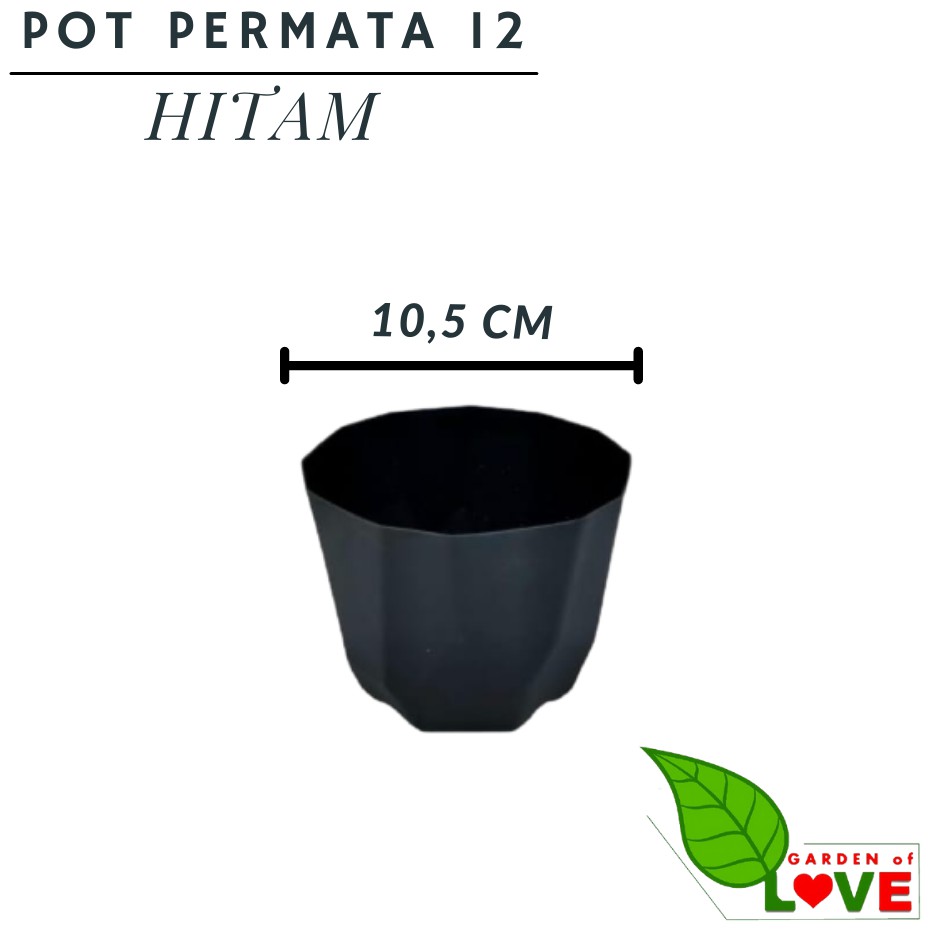 Pot Permata 12 Hitam DA 10,5cm By Garden Of Love Pot Plastik Kaktus Murah Uk Mirip Pot Tawon 10cm