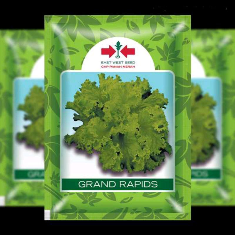 bibit selada 50+ butir original /cap panah merah