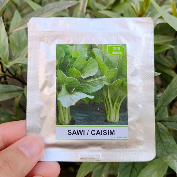 benih sayur - benih buah - benih sayuran - benih tomat - benih cabe - benih selada - benih bayam - benih terong - benih pakchoy -RS-sawi