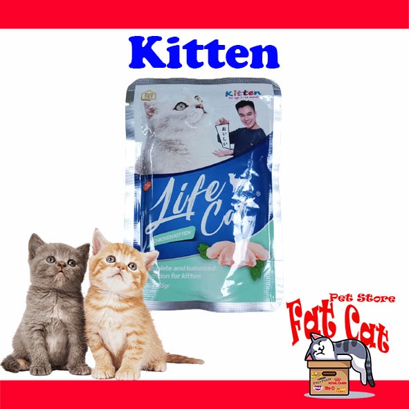 LIFE CAT KITTEN POUCH / SASET Makanan Kucing All Variants (85gram