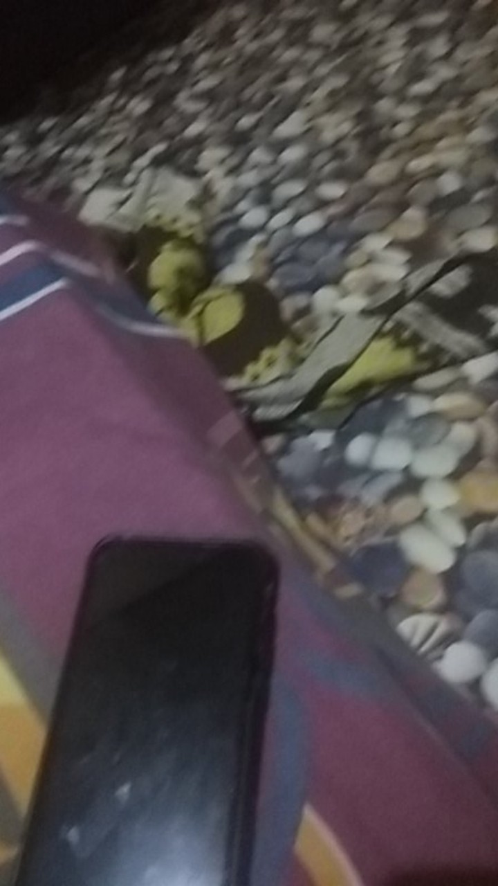 Tshirt Distro Keren Terbaru 3d Motif Owl Batik Fp Putih