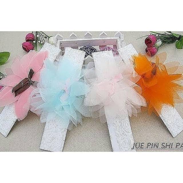 

Hb daisy wings pita