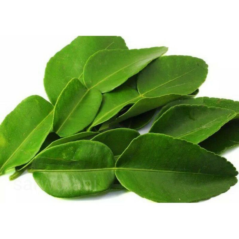 

DAUN JERUK (+-20gr)