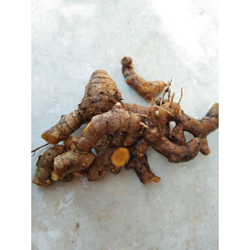 

Temulawak segar 500gr