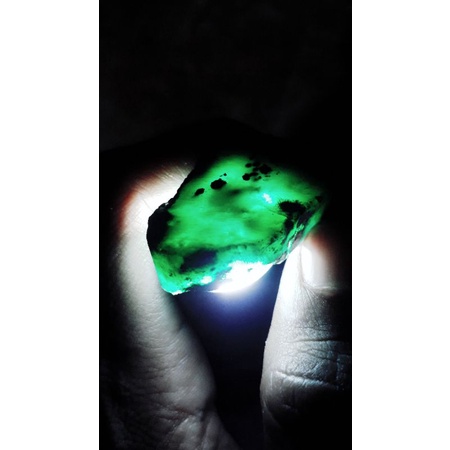Rough Bacan Majikoo siapp olahh