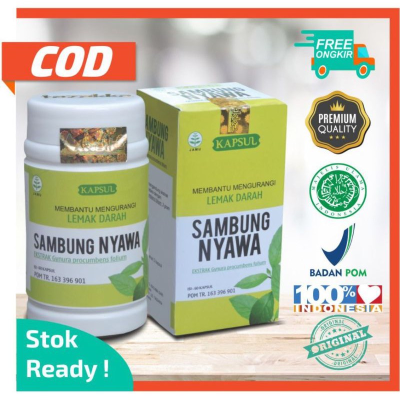 

obat herbal kapsul sambung nyawa tazakka ampuh mengobati lemak darah kolesterol tinggi alami
