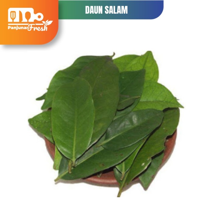 

DAUN SALAM SEGAR / BAY LEAVES BUMBU DAPUR 100 GRAM FRESH
