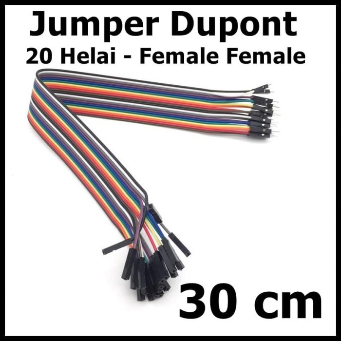 Kabel Jumper Female Female isi 20 Helai Panjang 30 cm