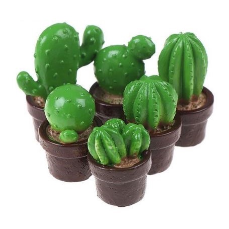 Miniatures - Terrariums - Fairy Garden - Cactus (1pc)