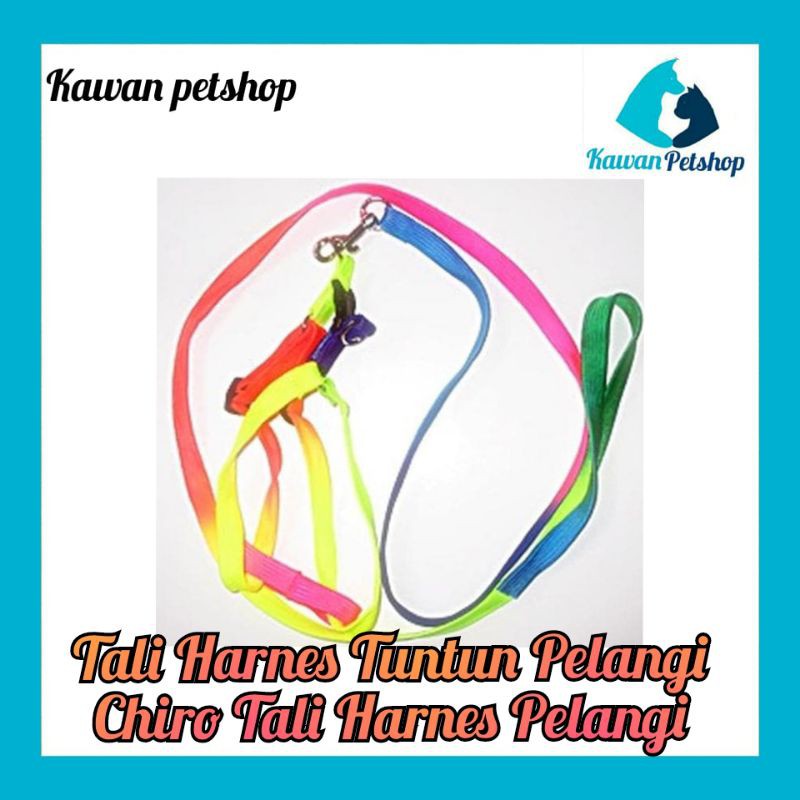Tali Tuntun Harnes Kucing Anjing kecil- Chiro Tali Harnes Pelangi