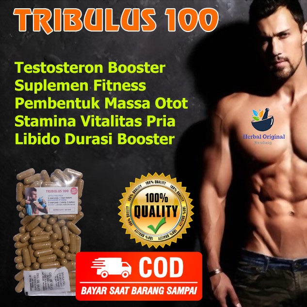 KAPSUL TRIBULUS TESTOSTERON ISI 100 Suplemen Vitalitas Stamina Pria Hormon Testosteron Pembentuk Oto