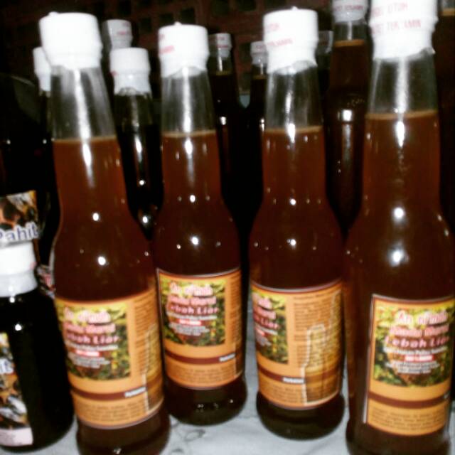 

Madu hutan sumatra