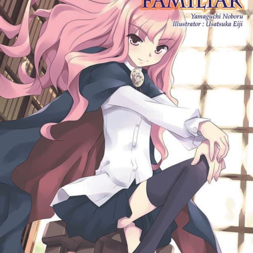 NOVEL ZERO'S FAMILIAR