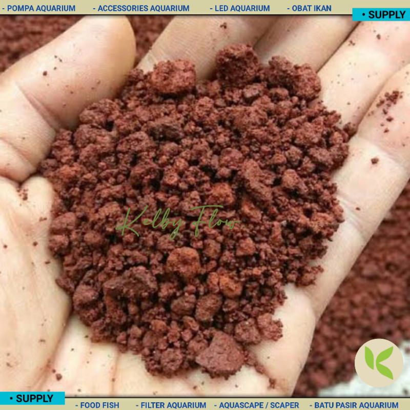 PASIR MALANG MERAH AQUASCAPE AQUARIUM IKAN PREDATOR IKAN HIAS AQUARIUM