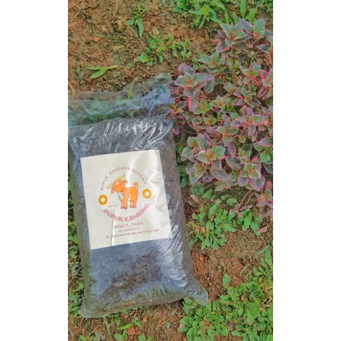 PUPUK KANDANG KAMBING FERMENTASI