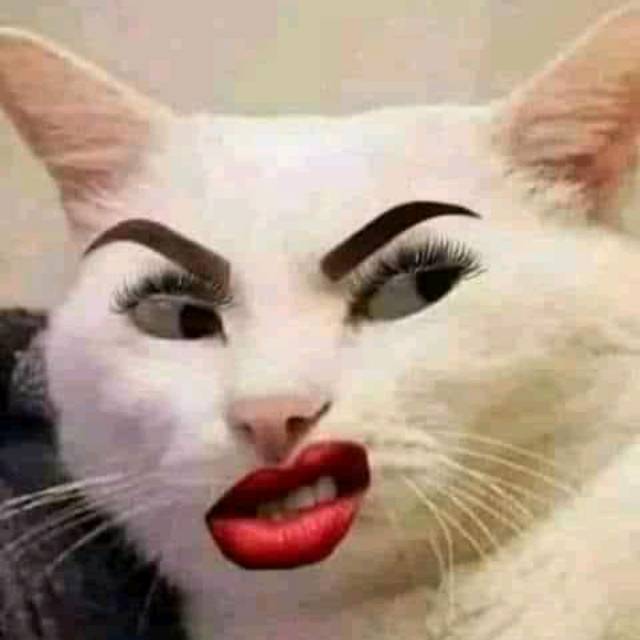 christine03081984