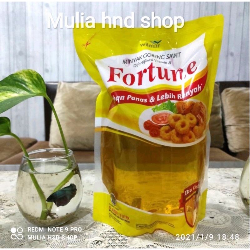 

Minyak Goreng Fortune 2L