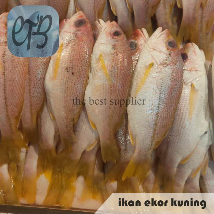 

Ikan Ekor Kuning Segar