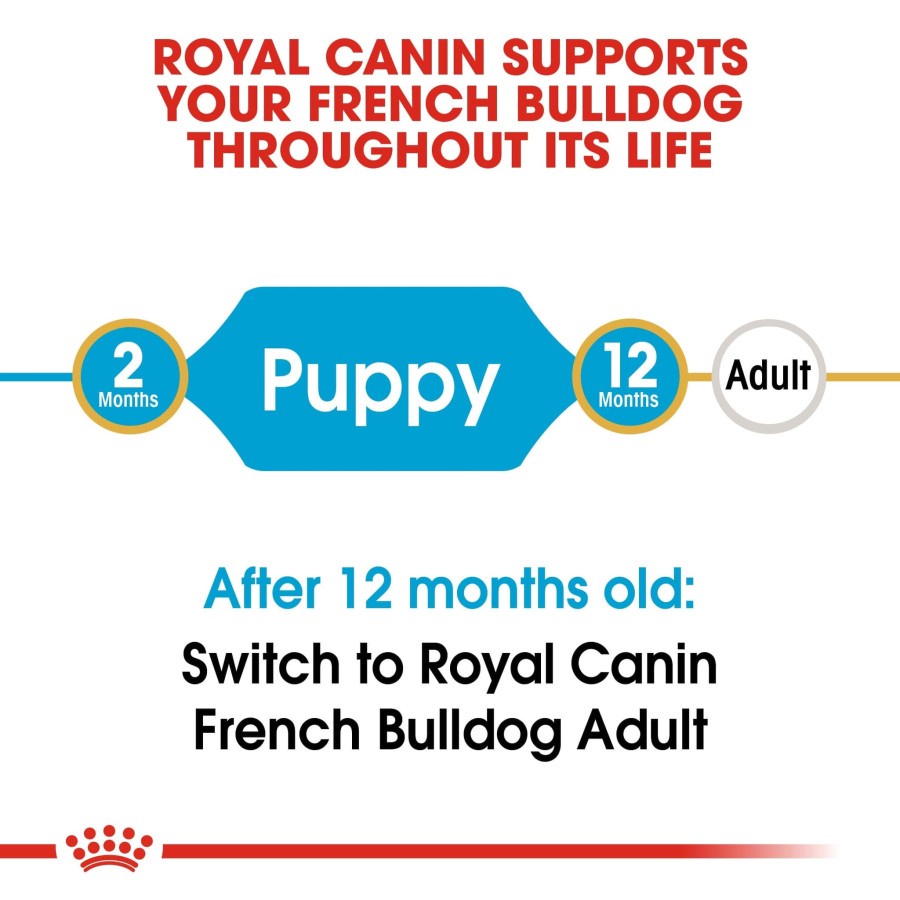 Royal Canin French Bulldog Puppy Junior Frenchie 3kg 3 kg RC Dog Food