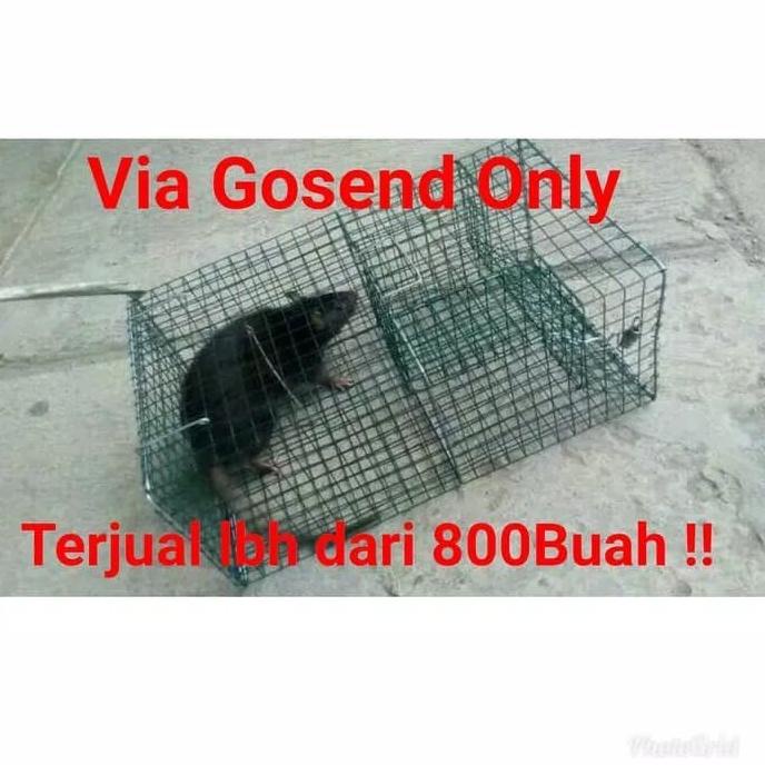 PERANGKAP TIKUS / JEBAKAN TIKUS / KANDANG TIKUS