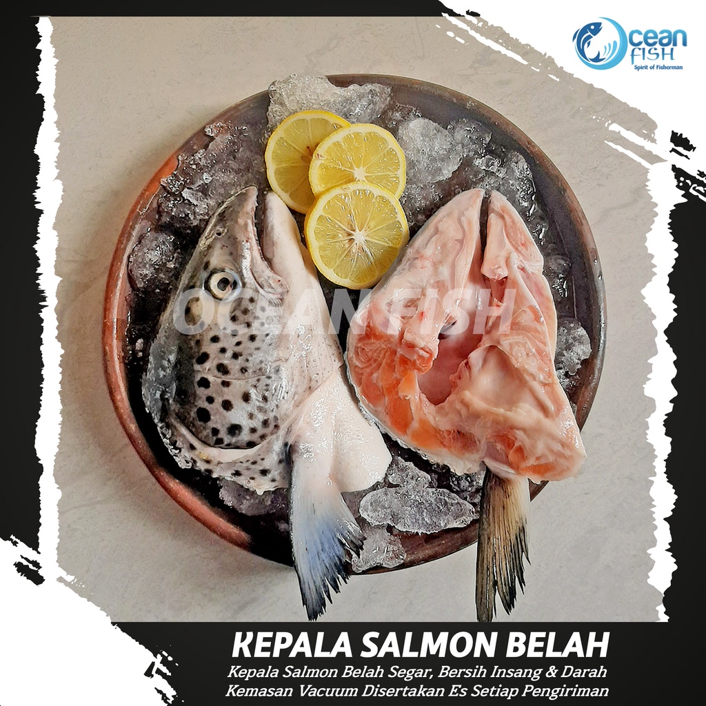 

Kepala Salmon Belah Segar - Kepala Salmon Fresh Bersih - Salmon Head Fresh