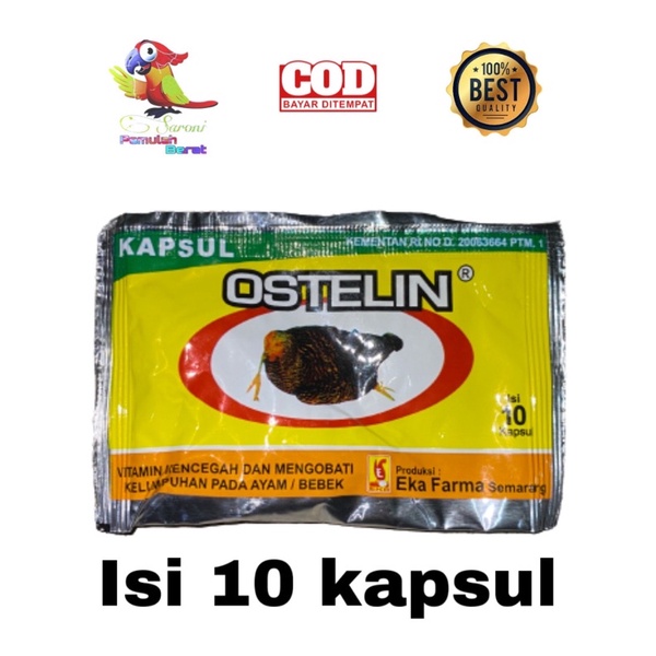 OBAT OSTELIN UNTUK AYAM ATAU BEBEK LUMPUH OBAT OSTELIN ISI 10kapsul
