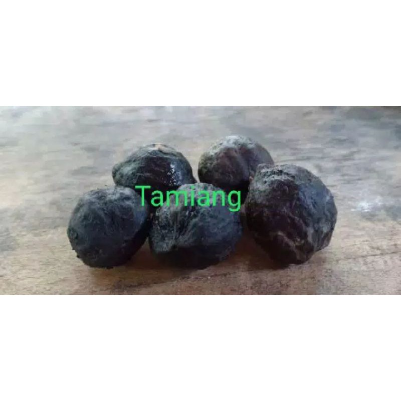 

paket 10 pcs muncang adu